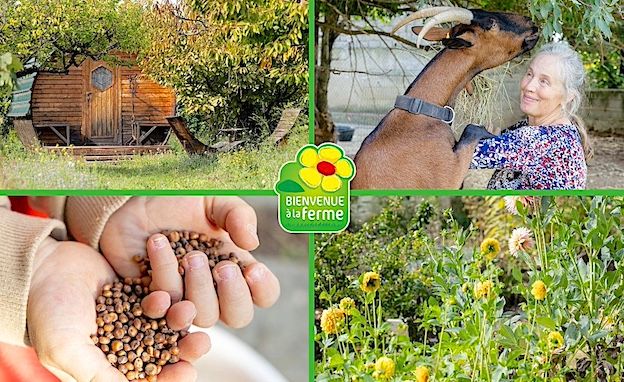 BONS PLANS - 21 fermes en fête en Bigorre et dans les Gers